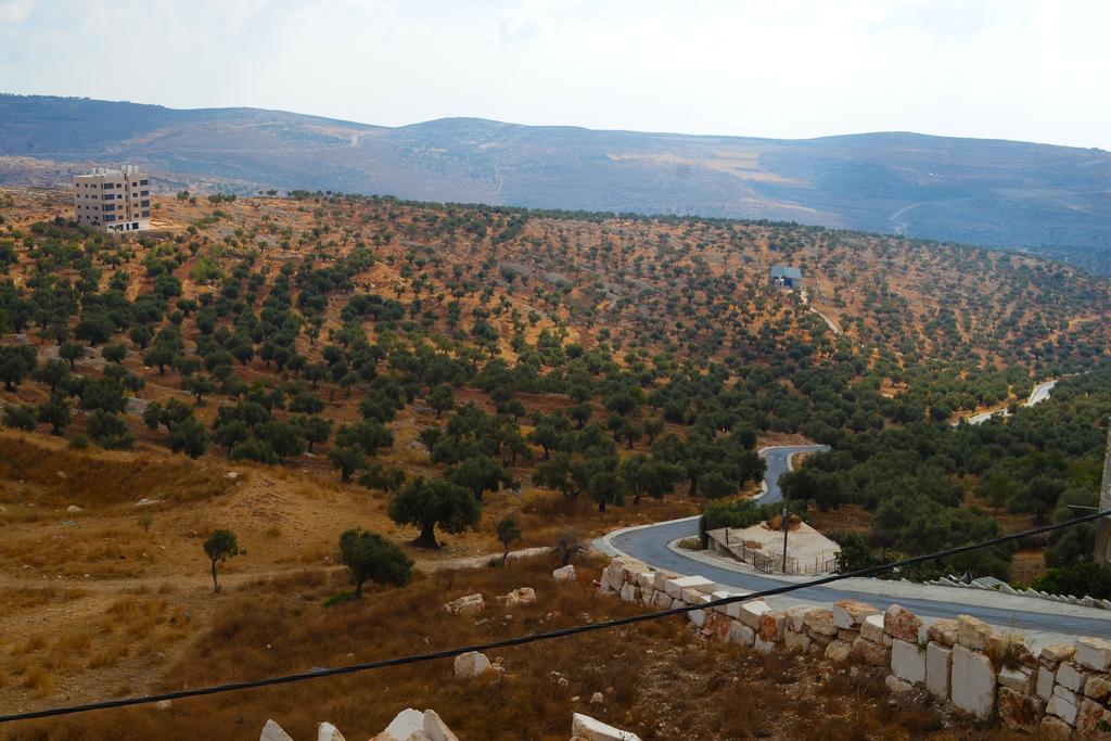 Taybeh Golden Hotel Ramallah Eksteriør bilde